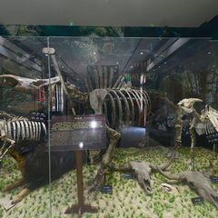 三晋奇石博物馆